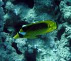 dsc06468_small.jpg