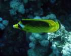 dsc06469_small.jpg