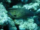dsc06471_small.jpg
