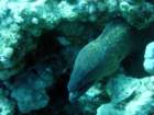 dsc06473_small.jpg