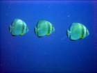 dsc06475_small.jpg