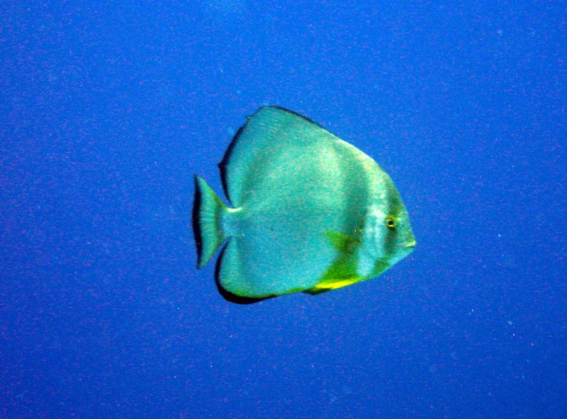dsc06476.jpg