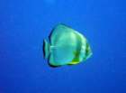 dsc06476_small.jpg