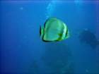 dsc06477_small.jpg