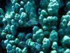 dsc06478_small.jpg