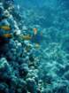 dsc06479_small.jpg