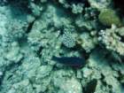 dsc06482_small.jpg