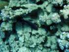 dsc06483_small.jpg
