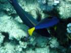 dsc06484_small.jpg