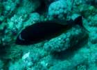 dsc06505_small.jpg
