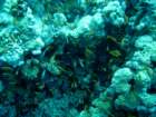 dsc06507_small.jpg