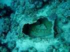 dsc06509_small.jpg