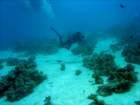 dsc06510_small.jpg