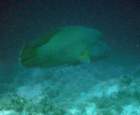 dsc06512_small.jpg