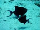 dsc06518_small.jpg
