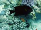 dsc06519_small.jpg