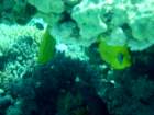 dsc06522_small.jpg