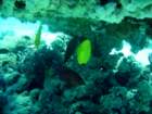 dsc06523_small.jpg