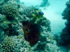 dsc06524_small.jpg