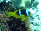 dsc06525_small.jpg