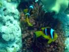 dsc06526_small.jpg