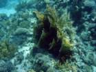 dsc06528_small.jpg