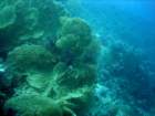 dsc06535_small.jpg