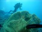dsc06536_small.jpg
