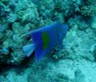 dsc06539_small.jpg