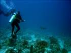 dsc06540_small.jpg