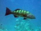 dsc06541_small.jpg