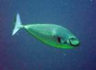 dsc06542_small.jpg