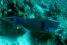 dsc06544_small.jpg