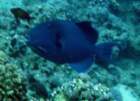 dsc06545_small.jpg