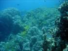 dsc06551_small.jpg