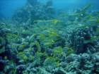 dsc06553_small.jpg