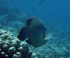 dsc06556_small.jpg