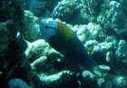 dsc06558_small.jpg