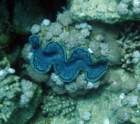 dsc06560_small.jpg