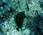 dsc06563_small.jpg