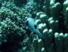 dsc06564_small.jpg