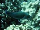 dsc06566_small.jpg