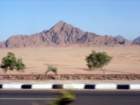 dsc06575_small.jpg