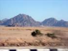 dsc06580_small.jpg