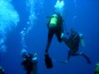 dsc06582_small.jpg