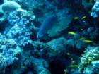 dsc06587_small.jpg