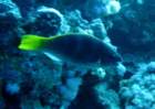 dsc06588_small.jpg