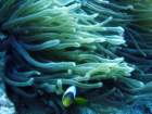 dsc06589_small.jpg