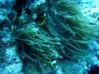 dsc06590_small.jpg