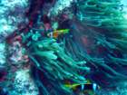 dsc06591_small.jpg